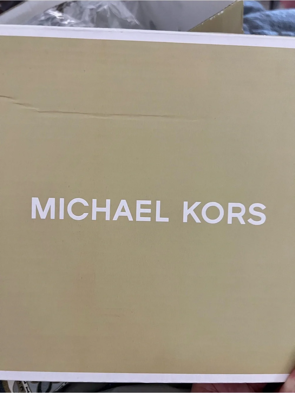 Silver Glitter Pointed Toe Kitten - Michael Kors 8.5 NWB